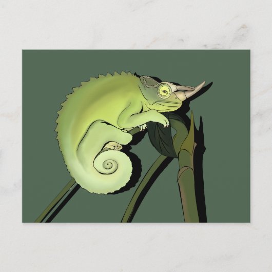 Jackson's Chameleon Briefkaart (Voorkant)