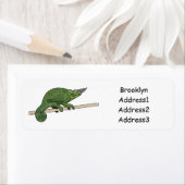 Jackson's chameleon cartoon etiket (Insitu)