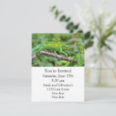 Jacksons Chameleon Kaart (Staand voorkant)