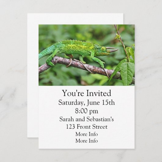 Jacksons Chameleon Kaart (Voorkant / Achterkant)