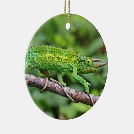 Jacksons Chameleon Keramisch Ornament (Rechts)