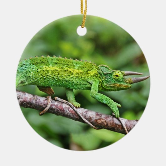 Jacksons Chameleon Keramisch Ornament (Voorkant)