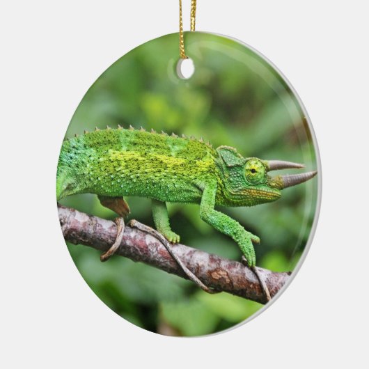 Jacksons Chameleon Keramisch Ornament (Links)