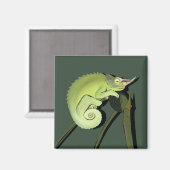Jackson's Chameleon Magneet (Voorkant / Achterkant)