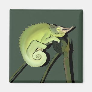 Jackson's Chameleon Magneet