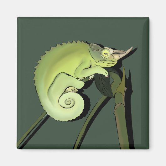 Jackson's Chameleon Magneet (Voorkant)