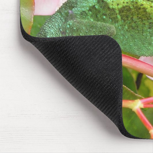 Jackson's Chameleon Mousepad Muismat (Hoek)