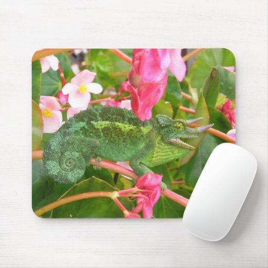 Jackson's Chameleon Mousepad Muismat (Met muis)