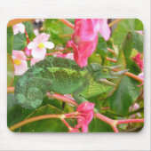Jackson's Chameleon Mousepad Muismat (Voorkant)