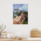 Jackson's Chameleon Poster (Keuken)