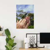 Jackson's Chameleon Poster (Thuiskantoor)