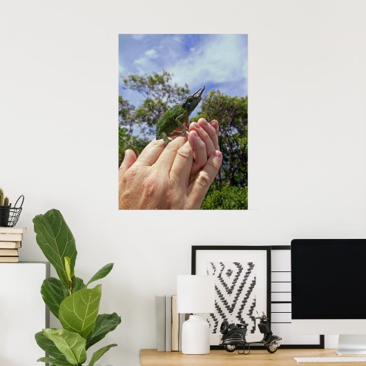 Jackson's Chameleon Poster (Thuiskantoor)