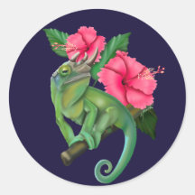 Jackson's kameleon met Hibiscus