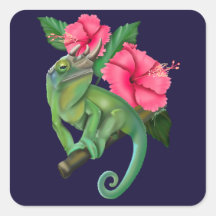 Jackson's kameleon met Hibiscus