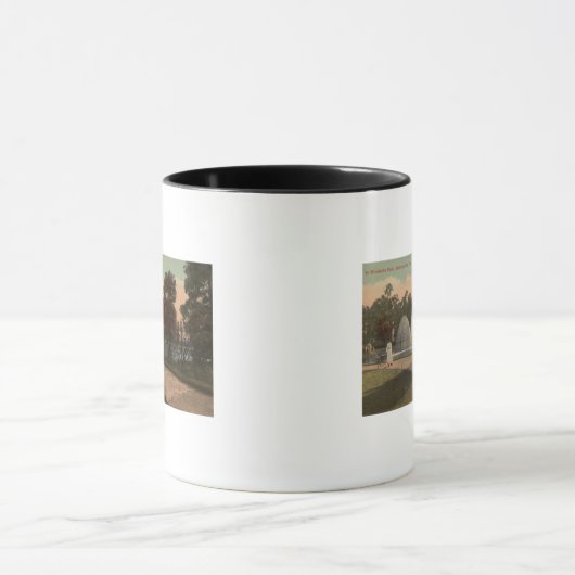 Jacksonville, FL - Uitzicht van Riverside Mok (Midden)