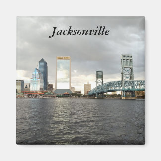 Jacksonville Florida souvenir foto magneet