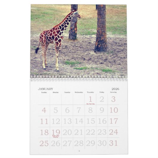 Jacksonville Zoo en Gardens Kalender (Jan 2026)