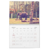 Jacksonville Zoo en Gardens Kalender (Mar 2026)