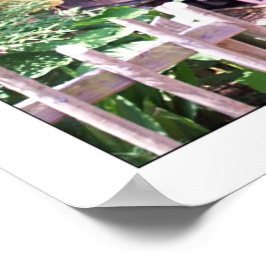 Jacksonville Zoo Poster (Hoek)