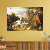 Jacob Bogdani A Macaw Ducks Parrots and Other Bird Canvas Afdruk (Insitu (Woonkamer))