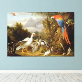 Jacob Bogdani A Macaw Ducks Parrots and Other Bird Canvas Afdruk (Insitu (Houten vloer))