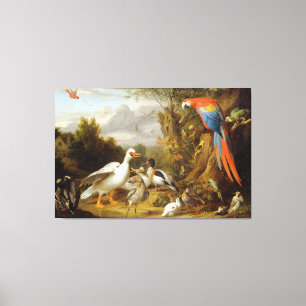 Jacob Bogdani A Macaw Ducks Parrots and Other Bird Canvas Afdruk