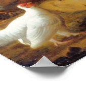 Jacob Bogdani Peacock Peahen Parrots Canary Poster (Hoek)