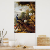Jacob Bogdani Peacock Peahen Parrots Canary Poster (Keuken)