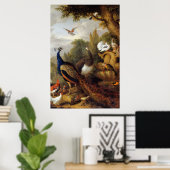 Jacob Bogdani Peacock Peahen Parrots Canary Poster (Thuiskantoor)