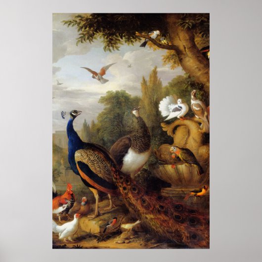 Jacob Bogdani Peacock Peahen Parrots Canary Poster (Voorkant)
