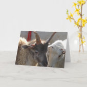 Jacob Crossbred Sheep Kaart (Gele Bloem)