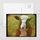 Jacob Lamb Briefkaart (Voorkant / Achterkant)
