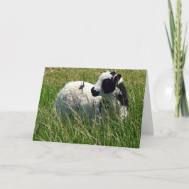 Jacob Ram Lamb Easter Kaart