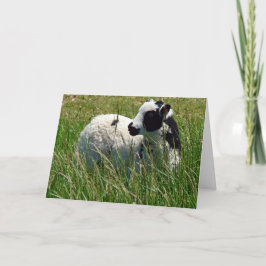 Jacob Ram Lamb Moederdag Kaart