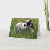 Jacob Ram Lamb, Pasen Feestdagen Kaart (Voorkant)
