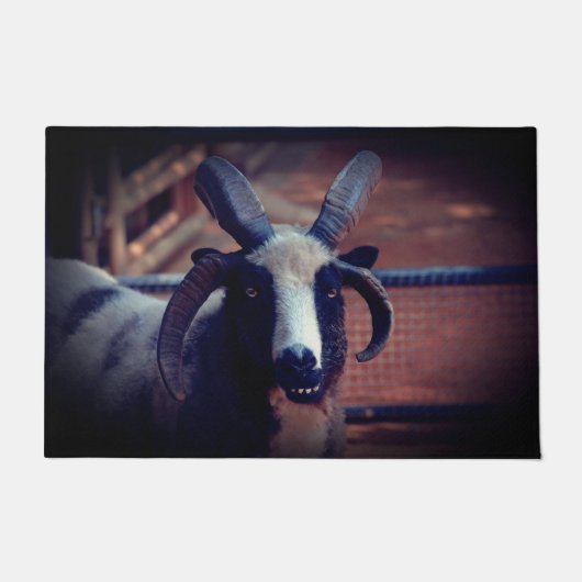 Jacob Sheep Deurmat (Voorkant)