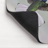 Jacobin Florisuga melivora Costa 2 Muismat (Hoek)