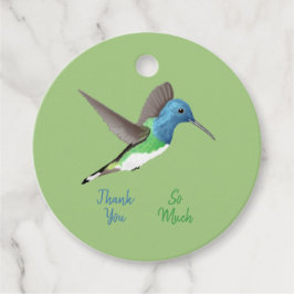 Jacobin Hummingbird, transparant. Bedankjes Labels