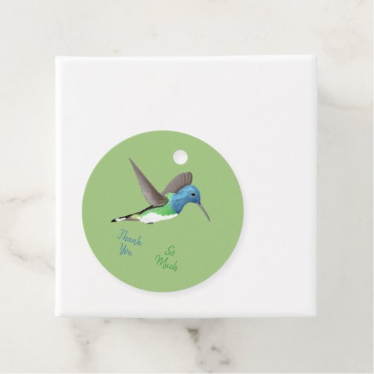 Jacobin Hummingbird, transparant. Bedankjes Labels (In situ)