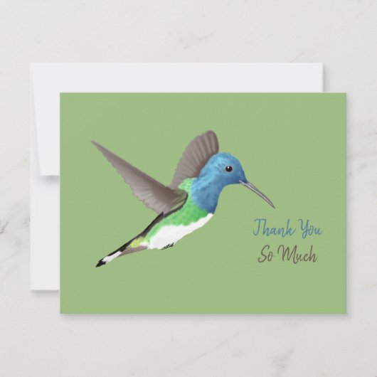 Jacobin Hummingbird, transparant. Bedankkaart (Voorkant)