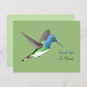 Jacobin Hummingbird, transparant. Bedankkaart (Voorkant / Achterkant)