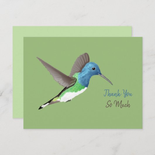 Jacobin Hummingbird, transparant. Bedankkaart (Voorkant / Achterkant)