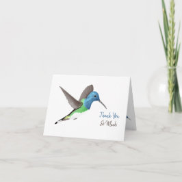 Jacobin Hummingbird, transparant. Bedankkaart