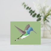 Jacobin Hummingbird, transparant. Briefkaart (Staand voorkant)