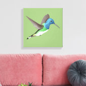 Jacobin Hummingbird, transparant. Canvas Afdruk (Insitu (Woonkamer))
