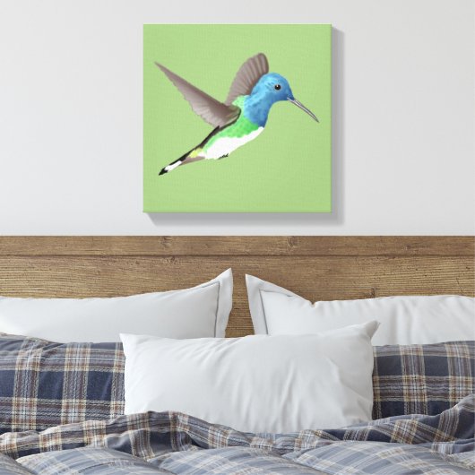 Jacobin Hummingbird, transparant. Canvas Afdruk (Insitu (Slaapkamer))