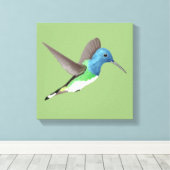 Jacobin Hummingbird, transparant. Canvas Afdruk (Insitu (Houten vloer))