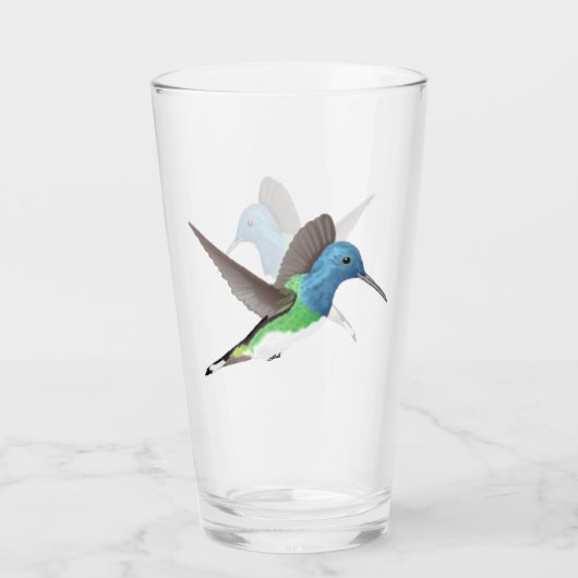 Jacobin Hummingbird, transparant. Glas (Achterkant)