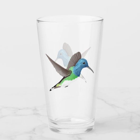 Jacobin Hummingbird, transparant. Glas (Voorkant)
