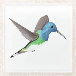 Jacobin Hummingbird, transparant. Glazen Onderzetter